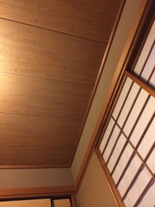 天井（夜）